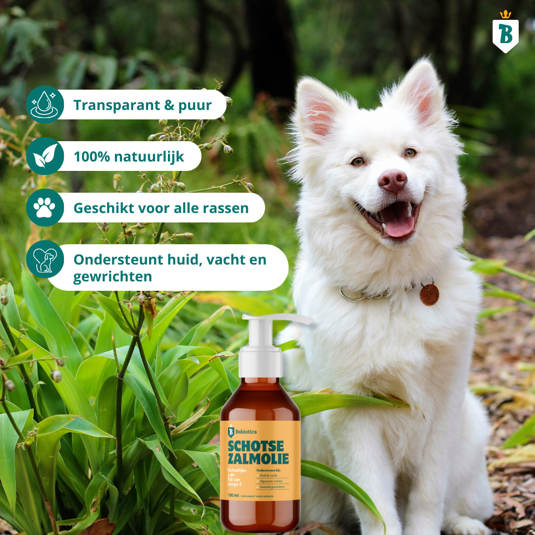 Schottisches Lachsöl 100ml