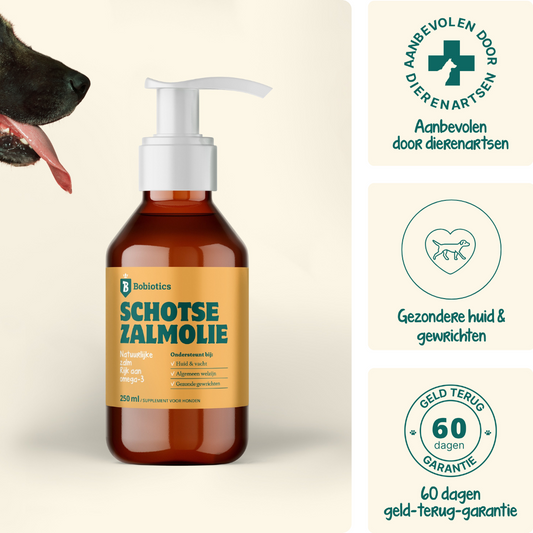 Schottisches Lachsöl 100ml