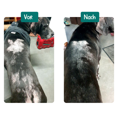 Anti-Juckreiz Probiotikum