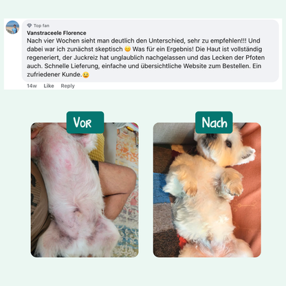 Anti-Juckreiz Probiotikum