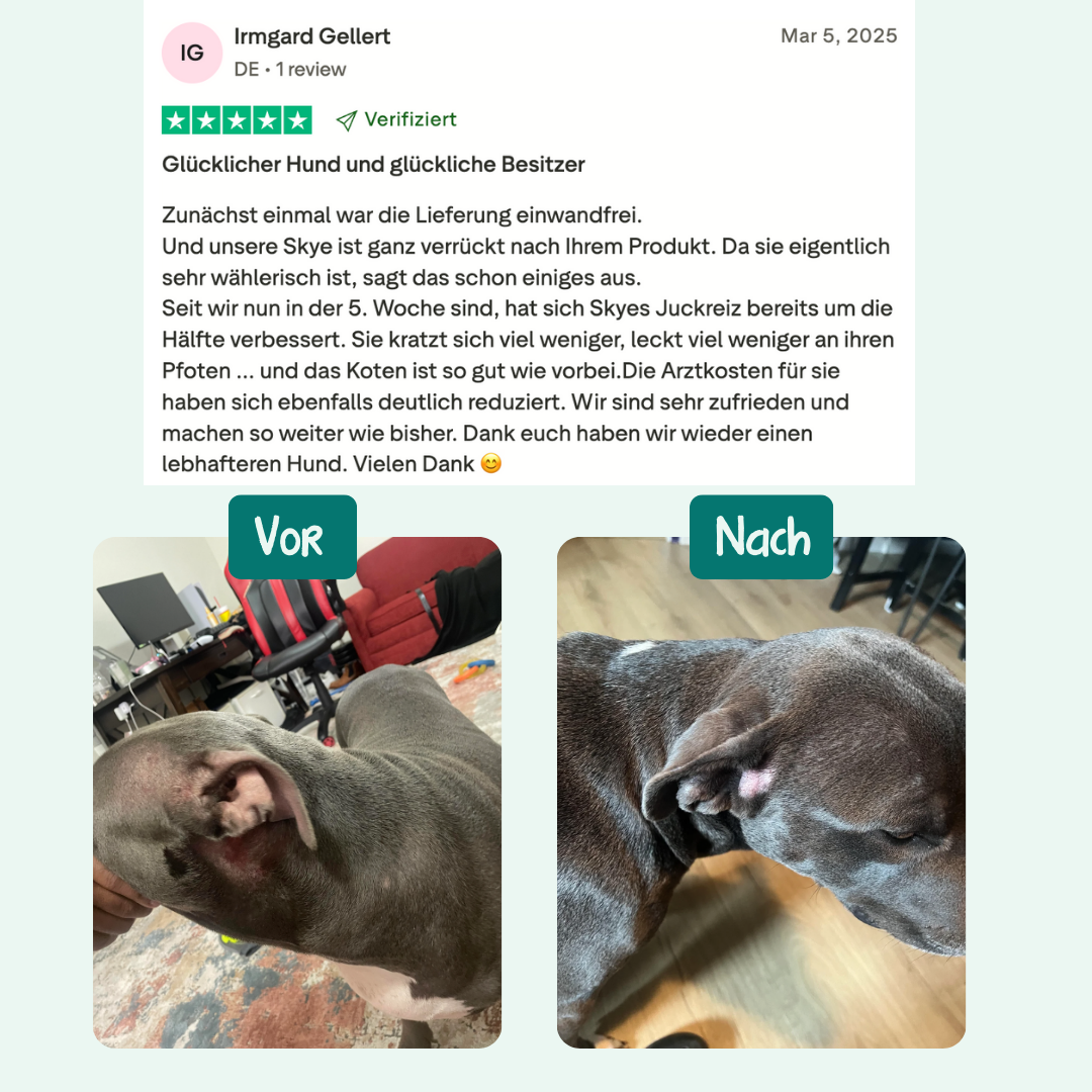 Anti-Juckreiz Probiotikum