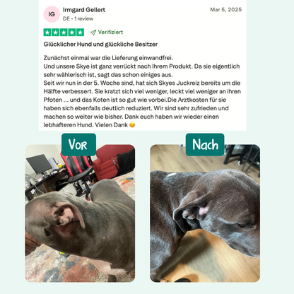 Anti-Juckreiz Probiotikum