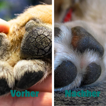 Nasen- & Pfotenbalsam