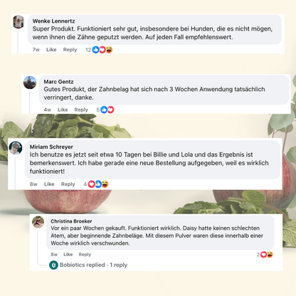 Frischer Atem & Zähne