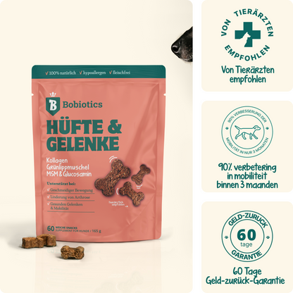 Hüfte & Gelenke