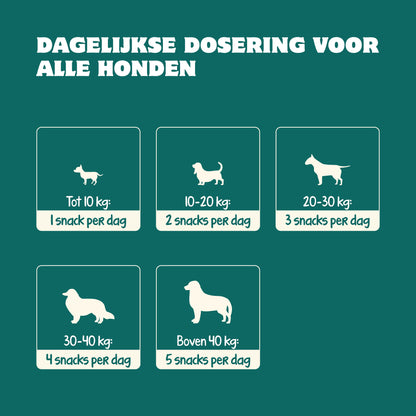 Probiotika Magen & Darm