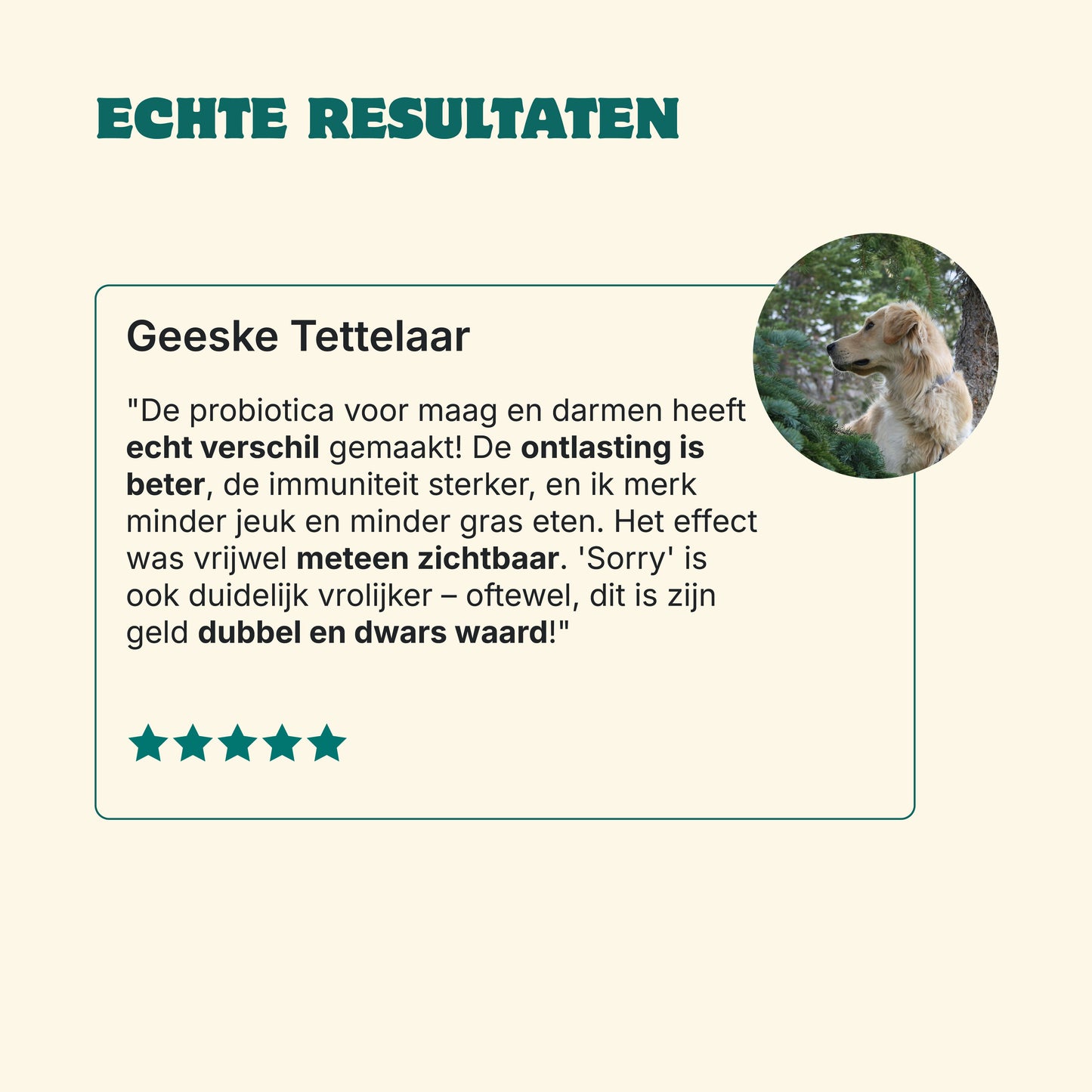 Probiotika Magen & Darm