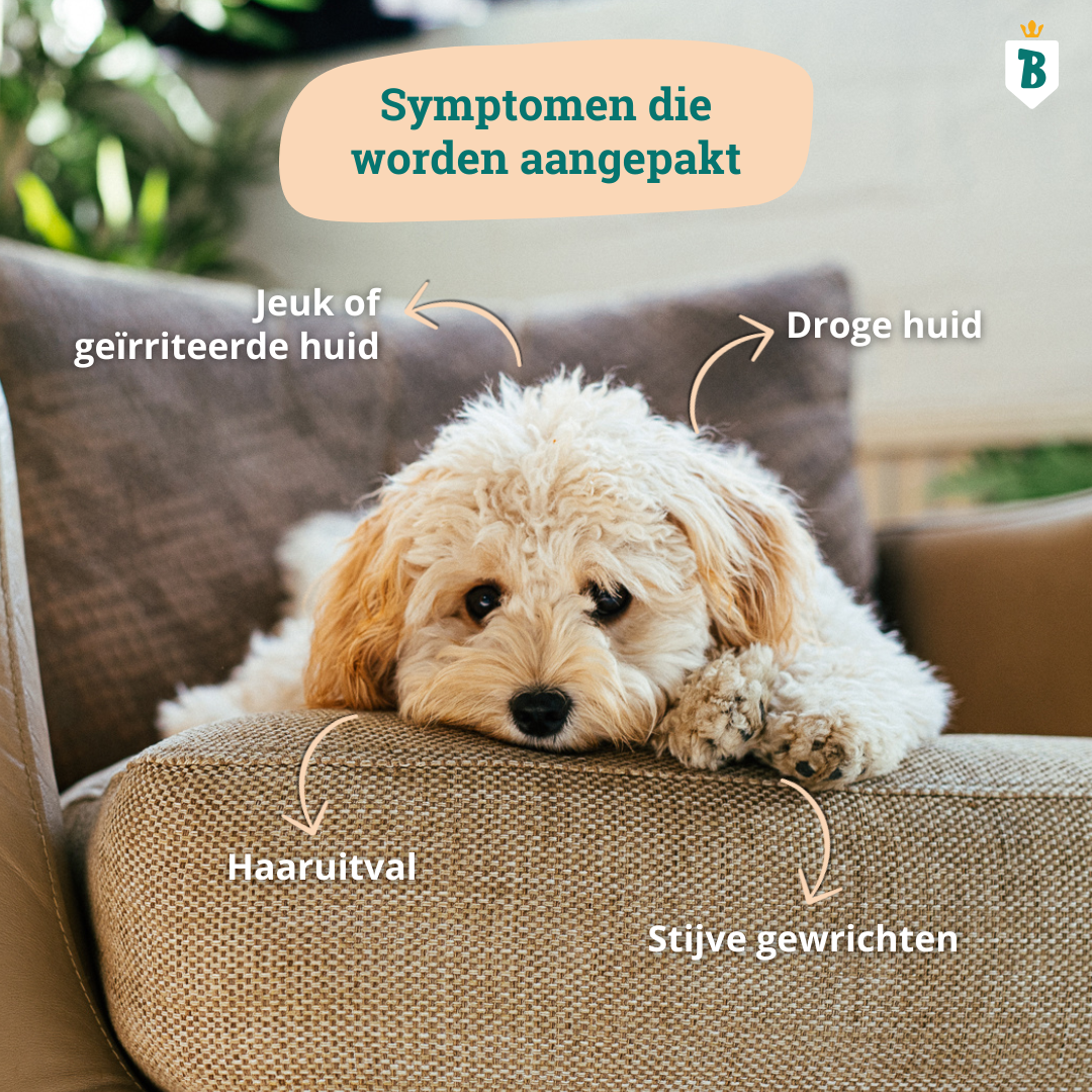 Schottisches Lachsöl 100ml