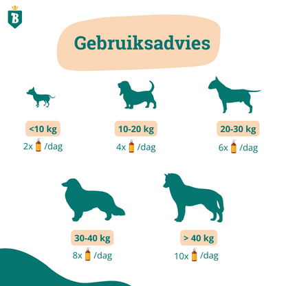 Schottisches Lachsöl 100ml