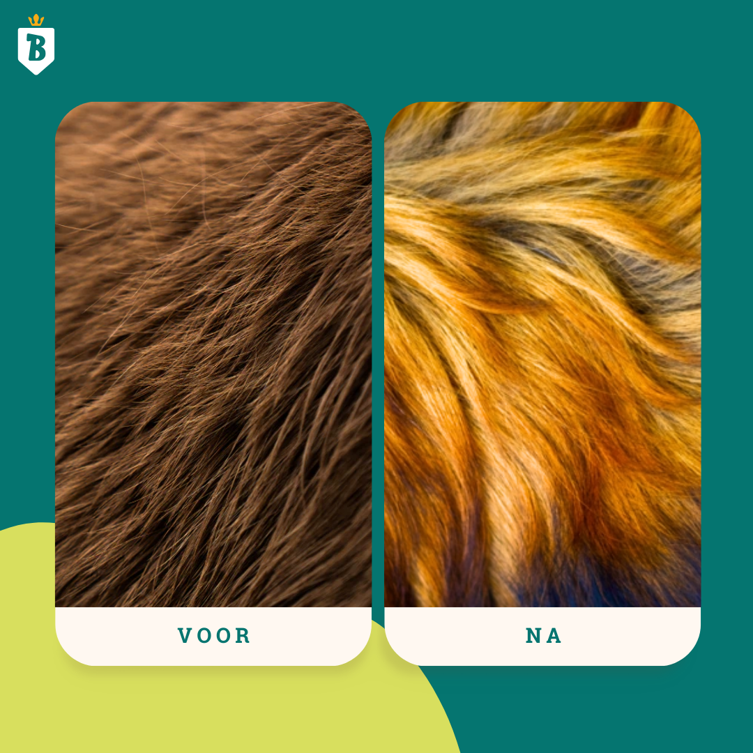 Schottisches Lachsöl 100ml