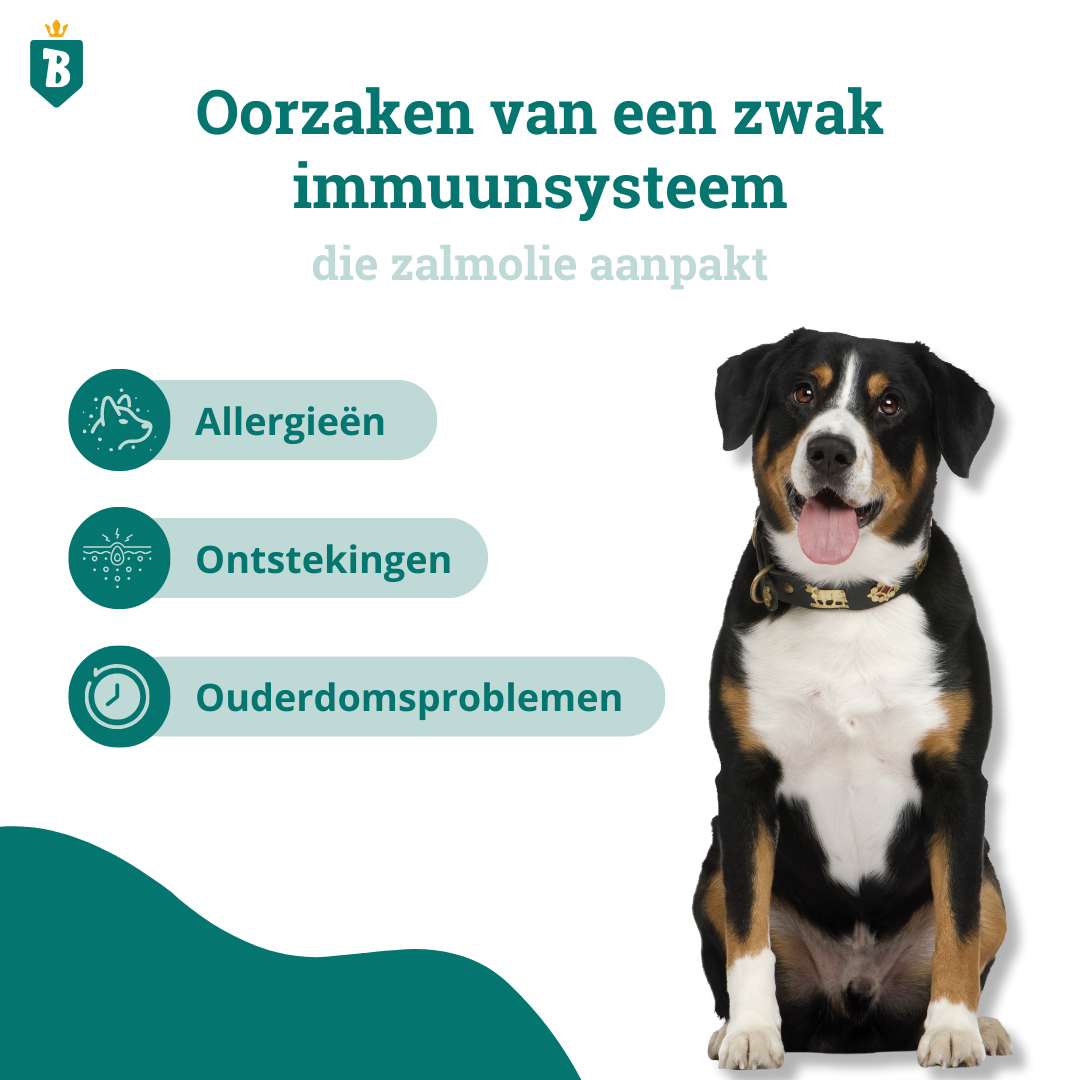 Schottisches Lachsöl 100ml