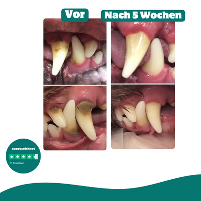 Frischer Atem & Zähne