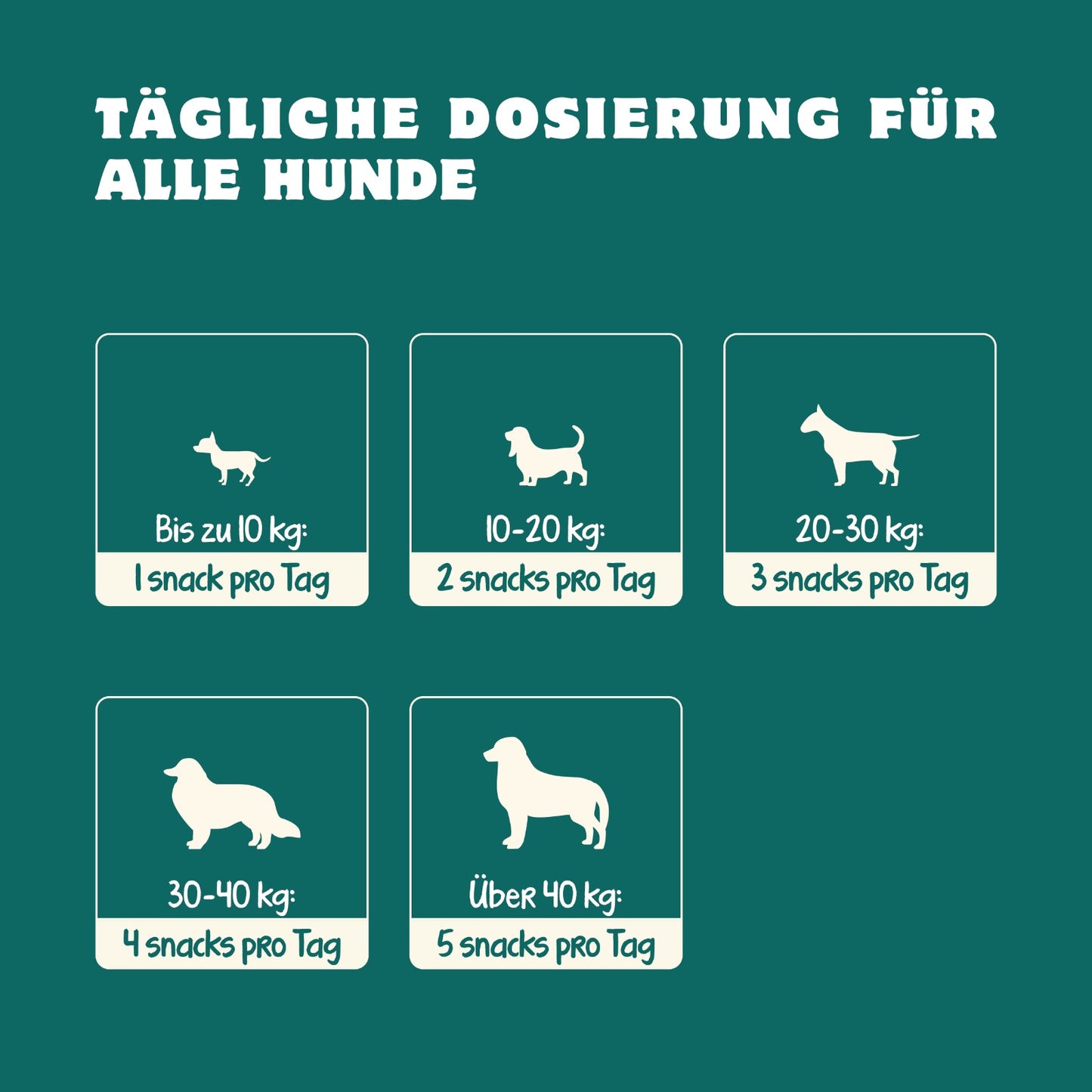 Anti-Juckreiz Probiotikum