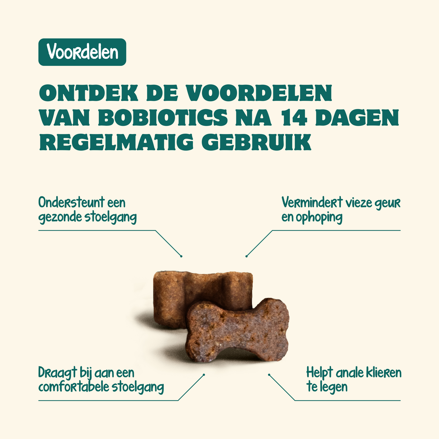 Anti-Analbeutel Probiotika