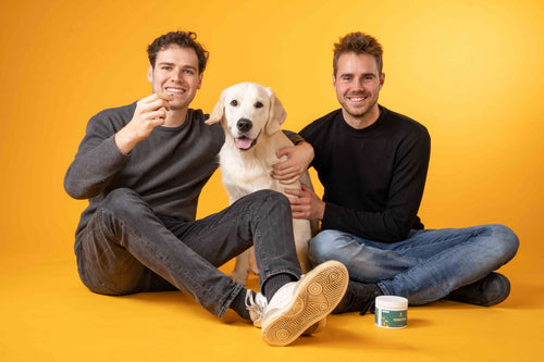 Bereit für gesunde Hunde-Snacks?