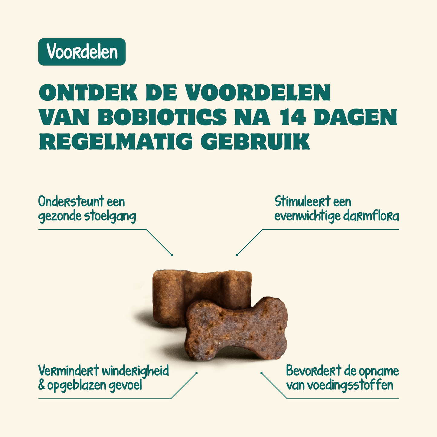 Probiotika Magen & Darm