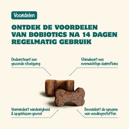 Probiotika Magen & Darm