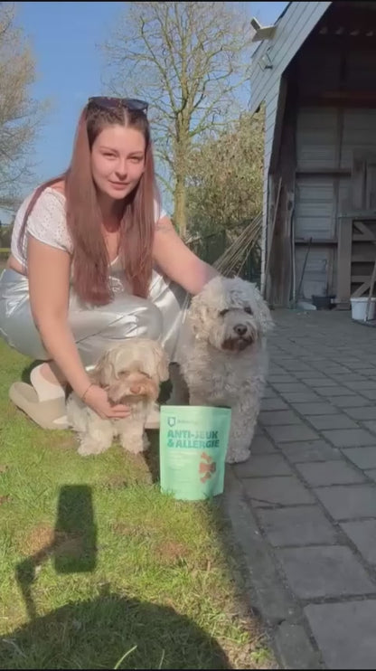 Anti-Juckreiz Probiotikum